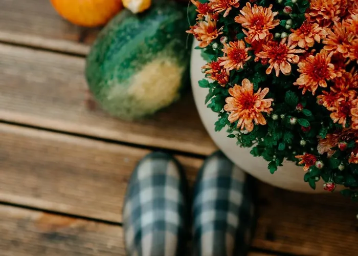 Feriehus Patri's Glamp *